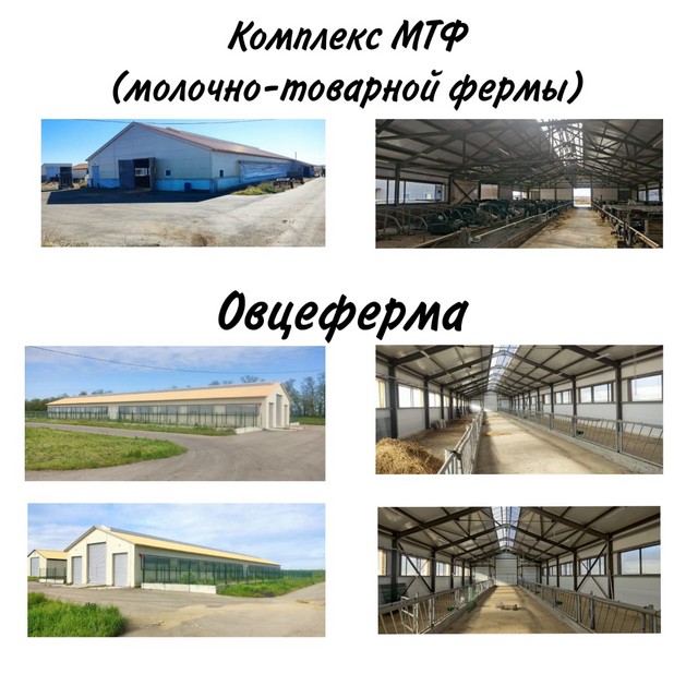 foto 2025 06 05 10 21 002