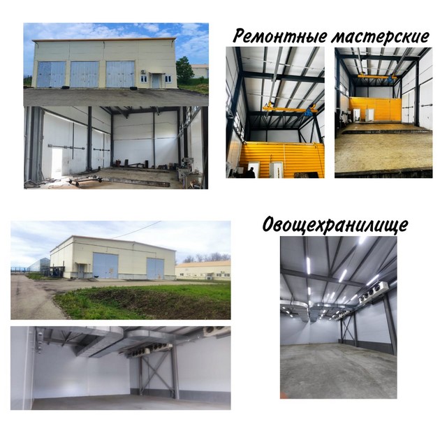 foto 2025 06 05 10 21 004